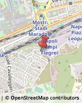 Via Venezia Giulia, 21,80147Napoli