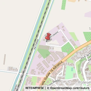 Mappa Via del Lavoro, 580, 45038 Polesella, Rovigo (Veneto)