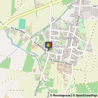 Consulenza di Direzione ed Organizzazione Aziendale Codevilla,27050Pavia