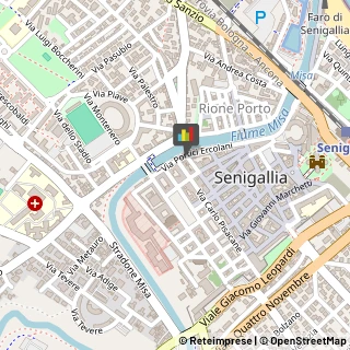 Locali, Birrerie e Pub Senigallia,60019Ancona