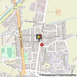 Animali Domestici - Toeletta,56031Pisa