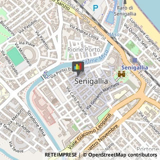 Spezie Senigallia,60019Ancona