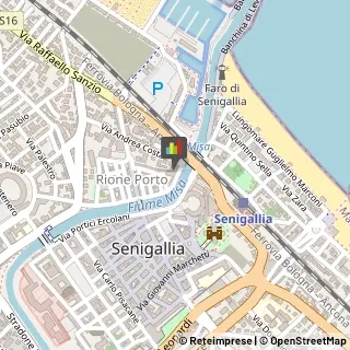 Chiropratica Senigallia,60019Ancona