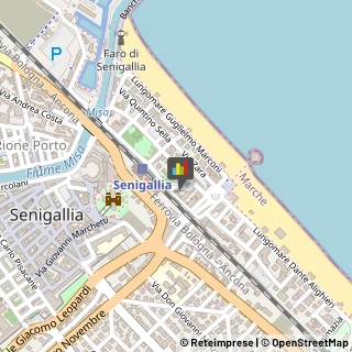 Agopuntura Senigallia,60019Ancona