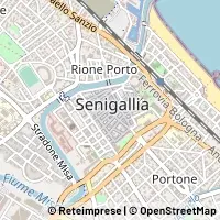 Kart Senigallia
