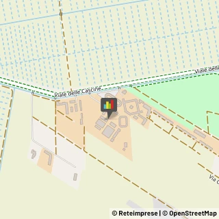 Protezione Civile - Servizi Pisa,56122Pisa