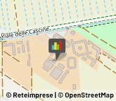 Protezione Civile - Servizi Pisa,56122Pisa
