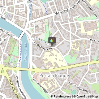 Angiologia - Medici Specialisti,56124Pisa