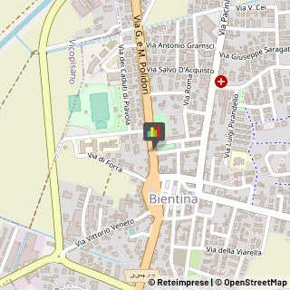 Articoli per Ortopedia Bientina,56031Pisa