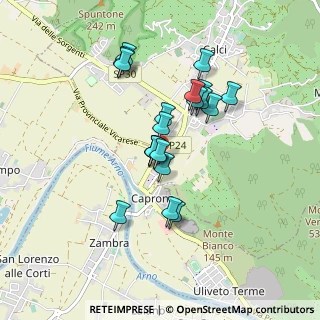 Mappa Via Provinciale Vicarese, 56011 Vicopisano PI, Italia (0.739)