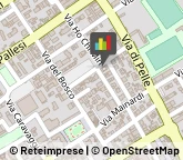 Società di Ingegneria Santa Croce sull'Arno,56029Pisa