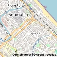 Kart Senigallia