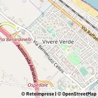 Kart Senigallia