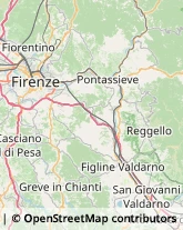 Appartamenti e Residence Pelago,50060Firenze