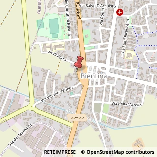 Mappa Piazza Vittorio Emanuele II, 28, 56031 Bientina, Pisa (Toscana)