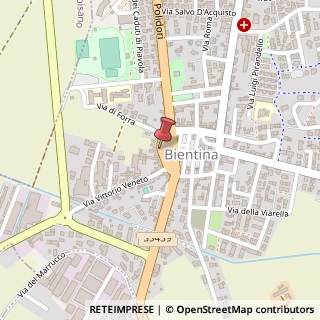 Mappa Piazza vittorio emanuele ii 9, 56031 Bientina, Pisa (Toscana)