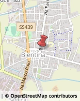 Via Pacini, 6,56031Bientina