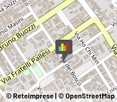 Trasporti con Containers,56029Pisa