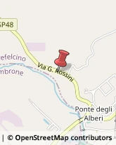 Via Gioacchino Rossini, 49,61030Montefelcino