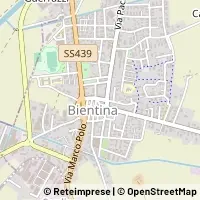 지도 Bientina