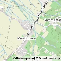 Map Montelupo Fiorentino