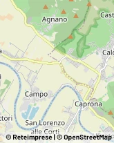 Articoli per Ortopedia Cascina,56021Pisa