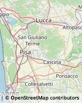 Articoli per Ortopedia Collesalvetti,57014Livorno