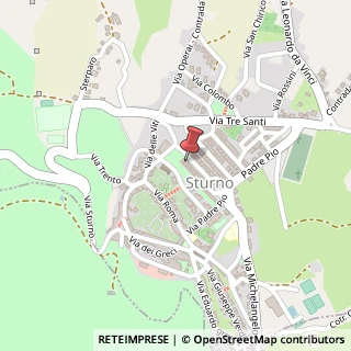 Mappa Viale Alberto Forgione Sindaco, 17, 83055 Sturno, Avellino (Campania)
