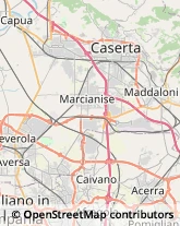 Erboristerie Caserta,81100Caserta