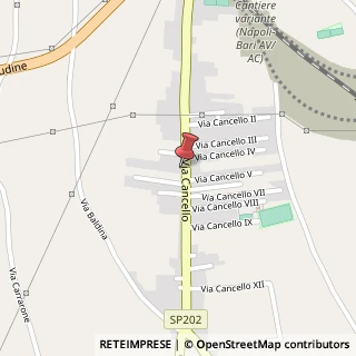 Mappa Sede Legale: Viale Carlo III DI Borbone, 81020 San Nicola la Strada, Caserta (Campania)
