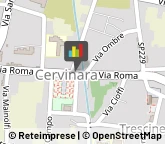 Piante e Fiori - Dettaglio Cervinara,83012Avellino