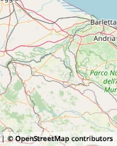 Onoranze e Pompe Funebri Minervino Murge,76013Barletta-Andria-Trani