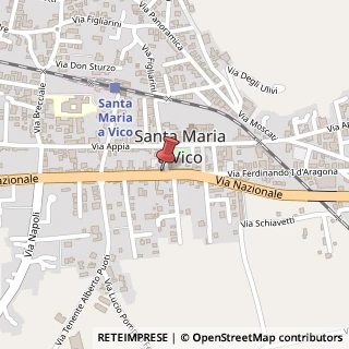 Mappa Via Nazionale Appia, 269, 81028 Santa Maria a Vico, Caserta (Campania)