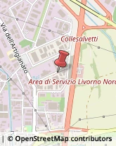 Via dei Soffiatori del Vetro, 22,57121Livorno