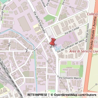 Mappa Via degli Arrotini (zona industriale in località “Picchianti, 57121 Livorno LI, Italia, 57121 Livorno, Livorno (Toscana)