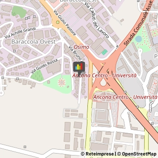 Palestre e Centri Fitness,60131Ancona