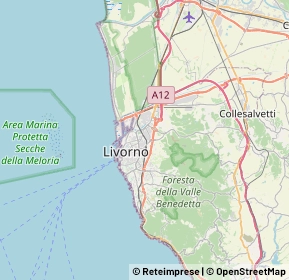Mappa 57121 Livorno LI, Italia (3.9665)