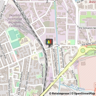 Sport - Scuole Livorno,57121Livorno