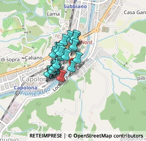 Mappa Località Ponte Caliano, 52010 Capolona AR, Italia (0.27241)