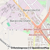 Kart Ancona