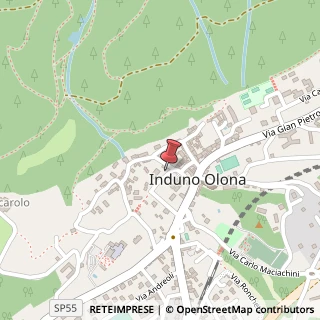Mappa Via Martinelli Foscarini, 1, 21056 Induno Olona, Varese (Lombardia)