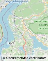 Psicologi Travedona-Monate,21028Varese