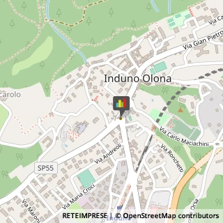 Agenzie ed Uffici Commerciali Induno Olona,21056Varese