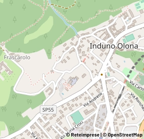 Mappa Via Francesco Negri, 21056 Induno Olona VA, Italia (0.2)