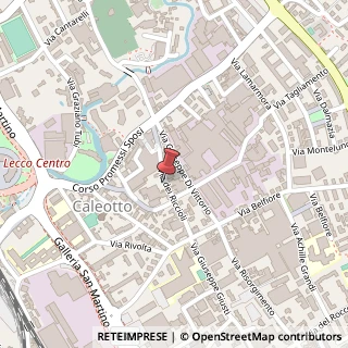 Mappa Via dei Riccioli, 13, 23900 Lecco, Lecco (Lombardia)