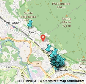 Mappa Via Cocquio, 21034 Gavirate VA, Italia (1.1365)