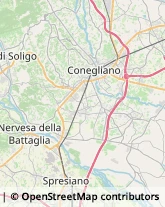 Aziende Agricole Susegana,31058Treviso