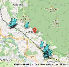 Mappa Str. Armino, 21034 Cocquio-Trevisago VA, Italia (1.309)