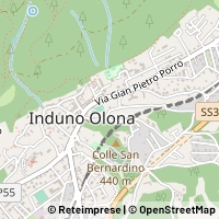 Map Induno Olona
