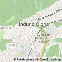 Map Induno Olona